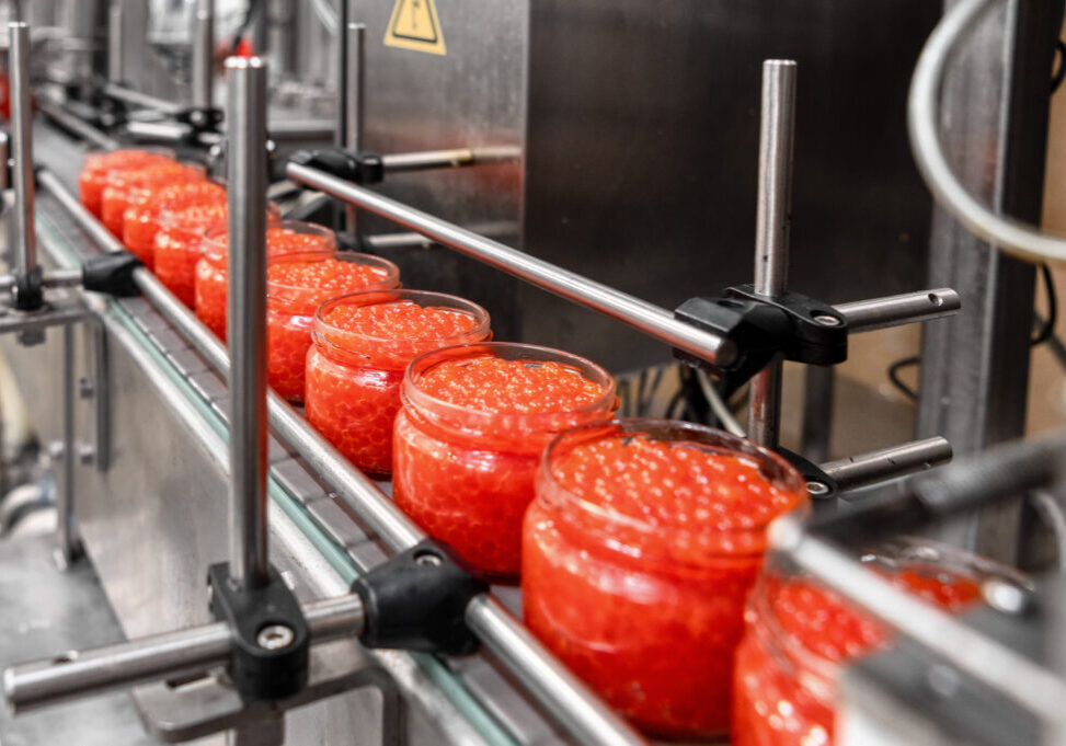 Glass jars filled with red caviar. Banks move along a conveyor belt Glass jars filled with red caviar. Banks move along a conveyor belt